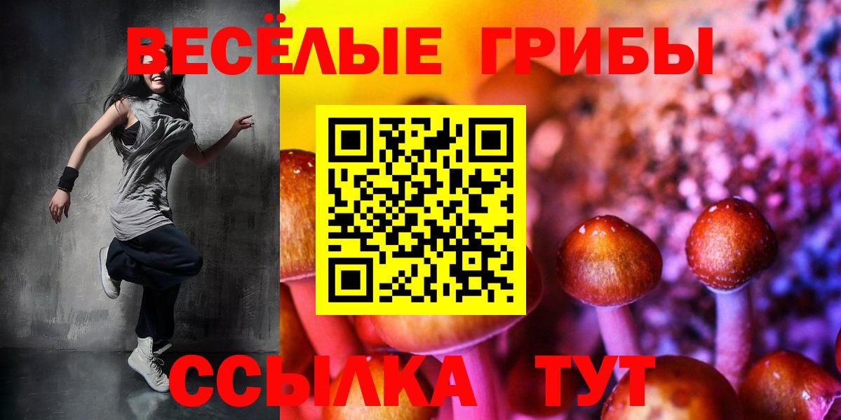 Псилоцибиновые грибы мухоморы Луга