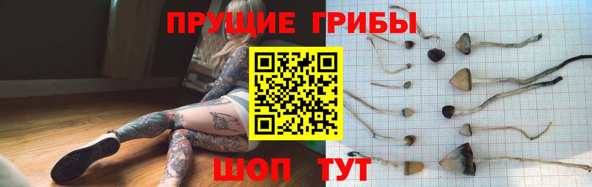 Луга  Галлюциногенные грибы мухоморы  Вход с VPN 